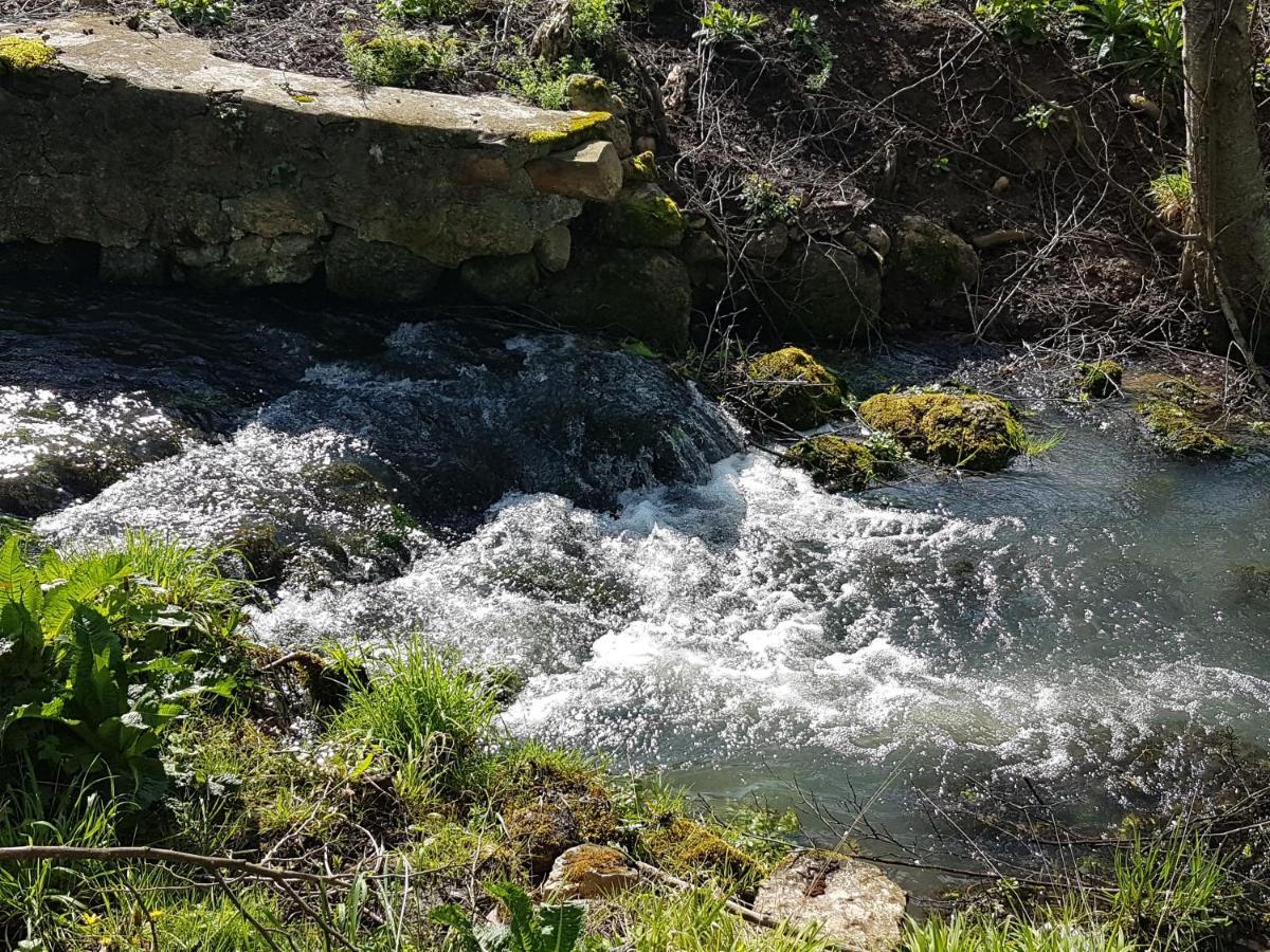 Le Moulin Du Chatelier Frühstückspension Paulmy