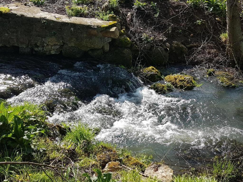 Le Moulin Du Chatelier Paulmy